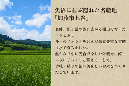 【令和6年産米】加茂市七谷産コシヒカリ・加茂市産こしいぶき（精米）食べ比べ 合計5kg（各2.5kg）白米 加茂市 捧運次商店