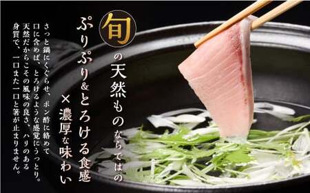 天然極寒ぶり ブリしゃぶセット 【200g（1～2人前）】_A017-1230