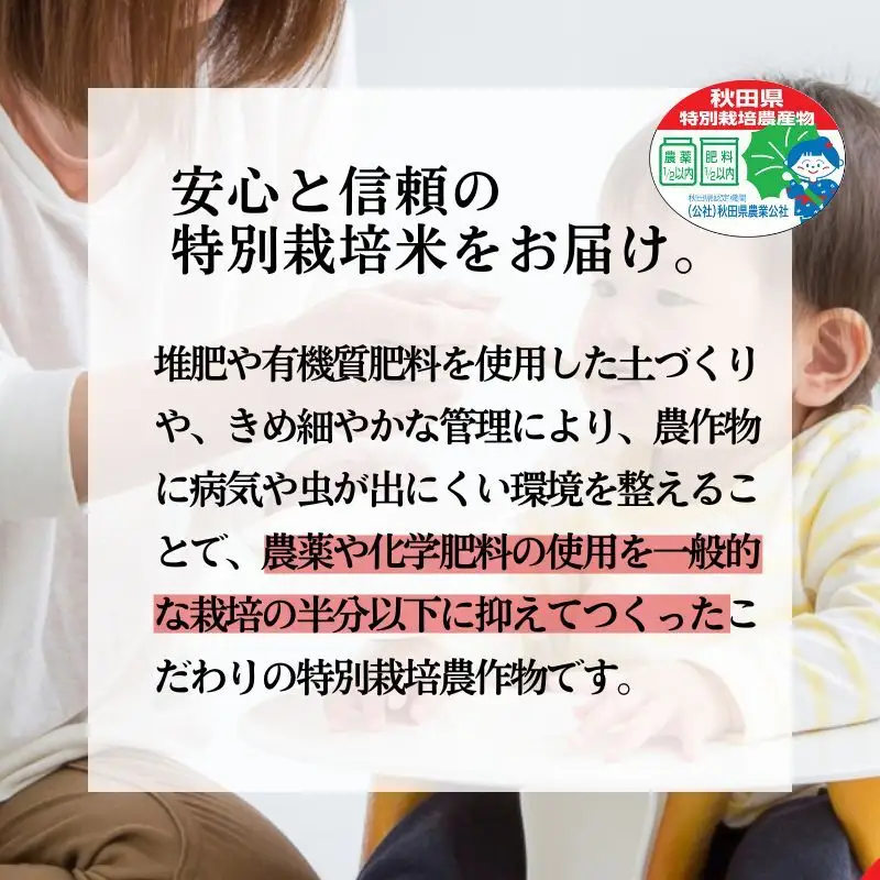《定期便2ヶ月》 玄米 特別栽培米 秋田県産 あきたこまち 米屋が認めたお米 「かとうくん」5kg×2回 合計10kg