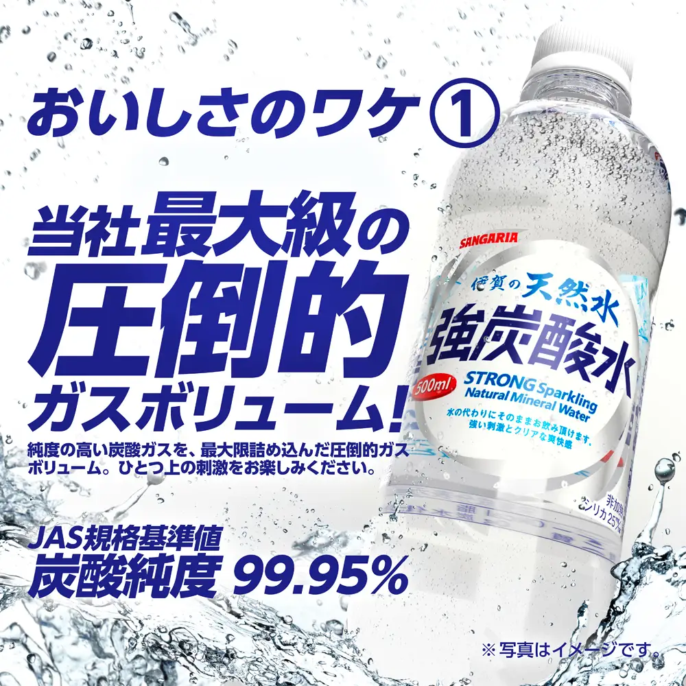 炭酸 サンガリア 伊賀の天然水 強炭酸水2ケース （500ml×48本） 【igge0001】