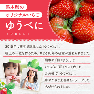 いちご「ゆうべに」500g（250g×2パック）