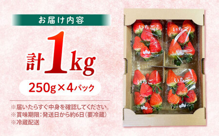  いちご 1kg CFV001 いちご 
