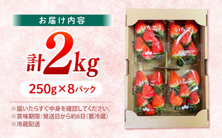 いちご 2kg CFV002  いちご