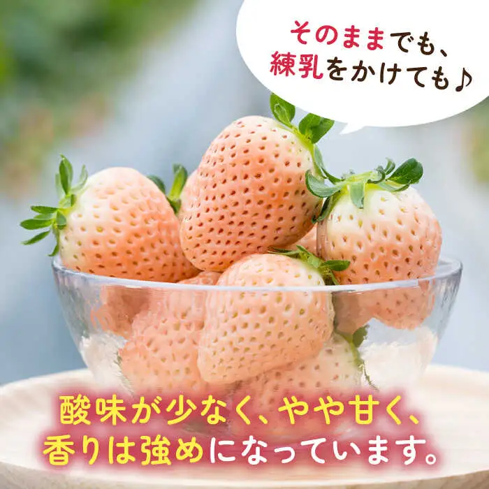 【全3回定期便】淡いピンクの白いちご「淡雪」 計1.32kg （220g×2パック×3回） / 佐賀県 いちご / 岸川農園 [41ASAG005]