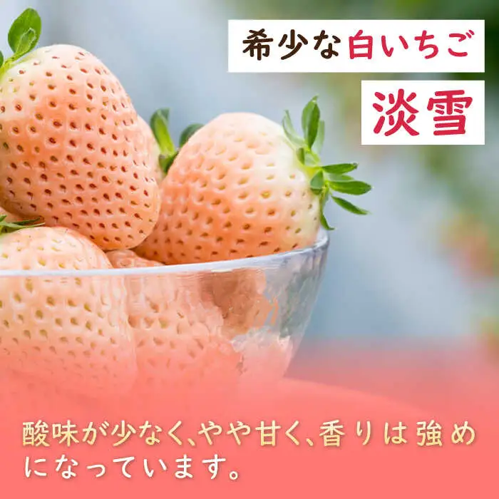 【全3回定期便】淡雪・さがほのか 紅白いちごセット 計1.32kg （220g×2パック×3回） / 佐賀県 いちご / 岸川農園 [41ASAG006]