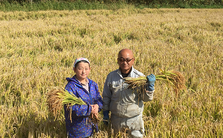 ななつぼし 産直米 精米 北海道産 ななつぼし【5kg】