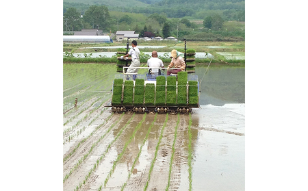 ゆめぴりか 産直米 精米 北海道産 ゆめぴりか【5kg】