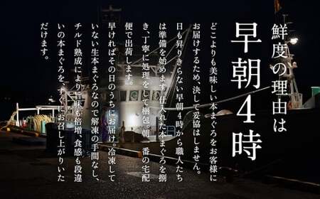 【定期便3回】冷蔵でお届け！大満足！生本マグロ 赤身（柵どり） 750g × 3回お届け （毎月お届け）