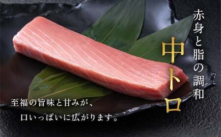 【定期便3回】冷蔵でお届け！大満足！生本マグロ 中トロ（柵どり） 700g × 3回お届け （毎月お届け）