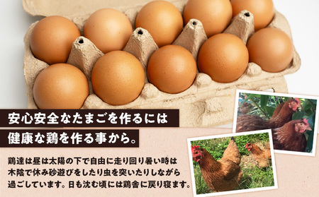 【 ご家庭用 】 HARUYA FARM の モリンガ卵 「 島のちっちゅ 」 W065-001-02 鶏 卵