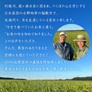 【令和7年産】茨城県稲敷市産 宮本さん家のこしひかり 20kg(10kg×2袋) [1654]