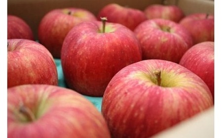  季節の品種 北上 りんご 約2kg 訳あり 順次発送！！ 岩手県産 C0565 P＆Cリンク 詰め合わせ 季節限定（黄王 つがる ジョナゴールド 星の金貨 スリムレッド ふじ フジ シナノゴールド 王林）数量限定 おまかせ お試し 食べきり リンゴ 果物