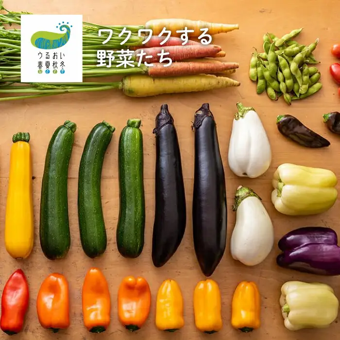 6ヶ月 定期便 四元豚 厳選カット肉 と 季節のうるおい野菜セット GIFTON ギフトン お歳暮 ギフト 豚肉 野菜 ｾｯﾄ 豚肉 焼肉 岩手県 北上市 ごえん O0038R0807 全6回 豚肉定期便 野菜定期便