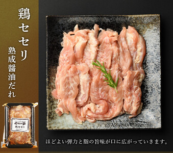 やまなか家のトリプルカルビ　食べ比べセット計700g（お肉600g+たれ100g）(G-010)　 岩手県 北上市 C0274 （KYフーズ）牛 豚 鶏肉 焼肉 カルビ 