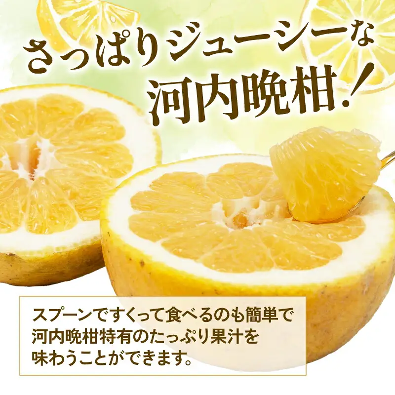 訳あり 河内晩柑 約 8kg YAMAUCHI FARM  河内晩柑 B010-084006