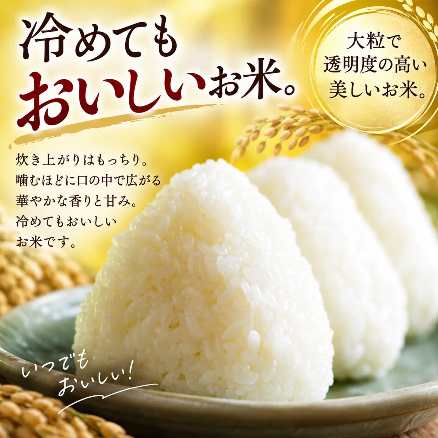 【令和8年新米】ひめの凜 5kg 新米 愛媛県ブランド米