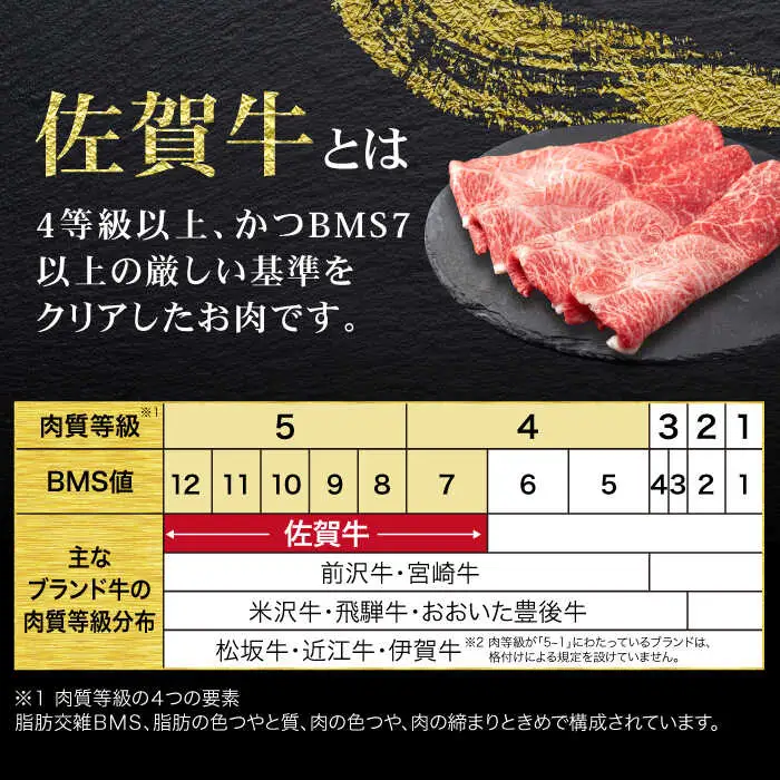 【6回定期便/奇数月発送】＜10万コース＞特選佐賀牛 月替わりバラエティパック 計2.3kg 定期便 黒毛和牛[FCV006]