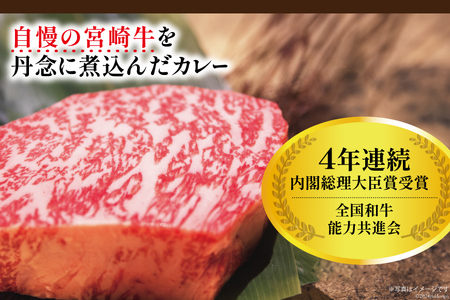 【カレー】 カレー レトルト 宮崎牛カレー 160g 12食 セット