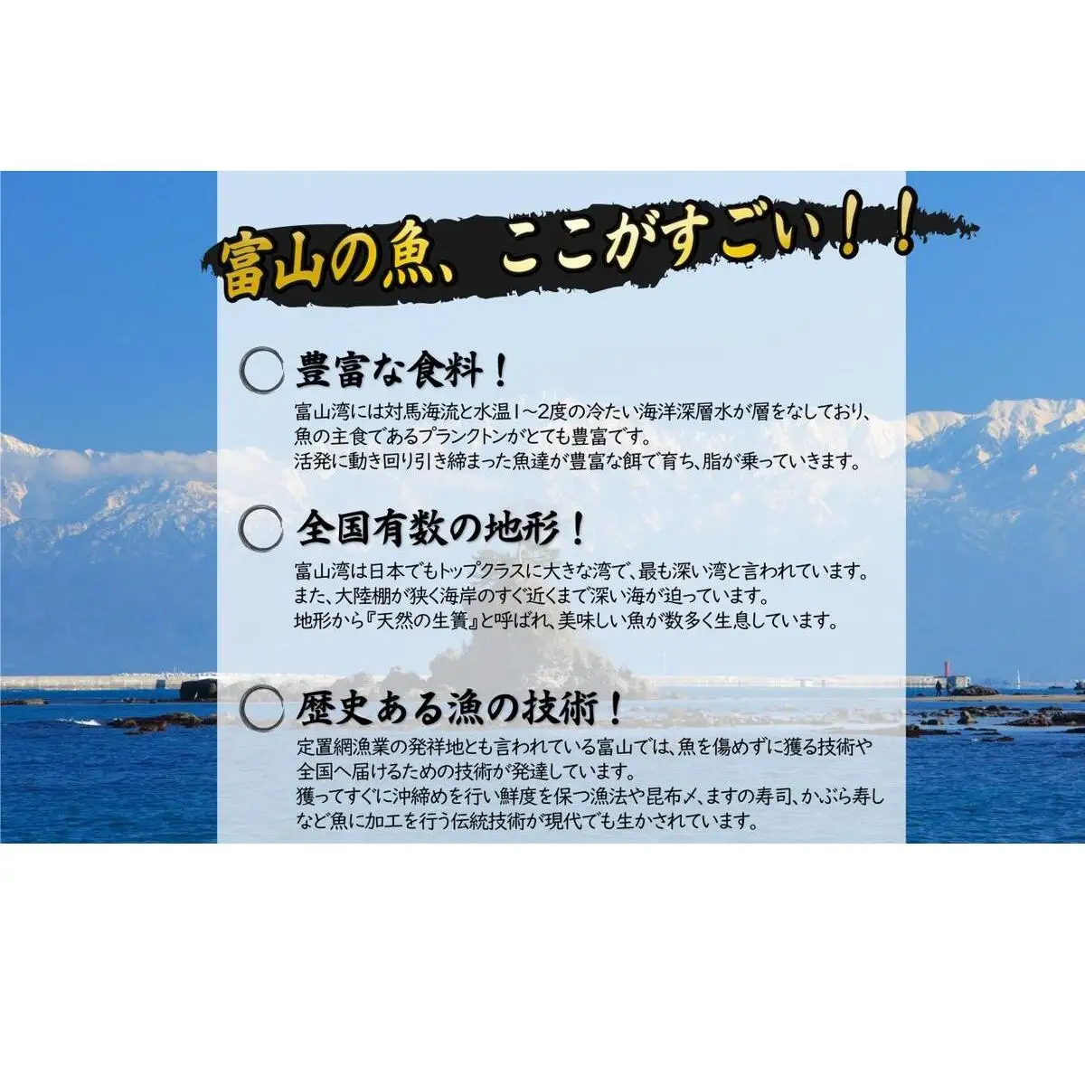 【年間3回定期便】『ホタルイカ』『白えび』『氷見ぶり』季節の味と熟練職人手捌きの一夜干真空パックセット