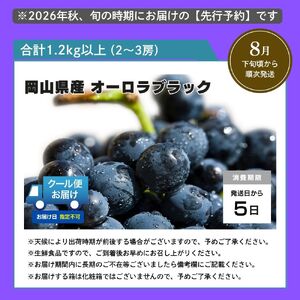 ＜2026年発送分 先行予約＞オーロラブラック 1.2kg以上（2~3房）【025-a023】