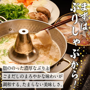 ＜先行予約受付中！2026年10月下旬より順次発送予定＞特製ごまだしで食べる！ブリしゃぶセット (合計400g・佐伯産かぼすぶり200g・献上品ぶり200g) 魚 さかな 鰤 鰤しゃぶ ぶりしゃぶ スライス 養殖 冷凍 お取り寄せ【AQ95】【やまろ渡邉】