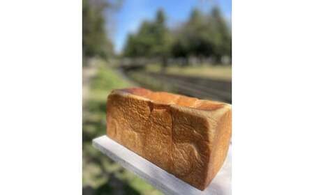 原材料にこだわった発酵バター　もちもち食パン　２斤×２本