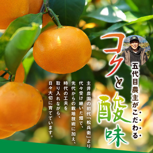 高級松兵衛みかん定期便【3回定期便】_ZS69005