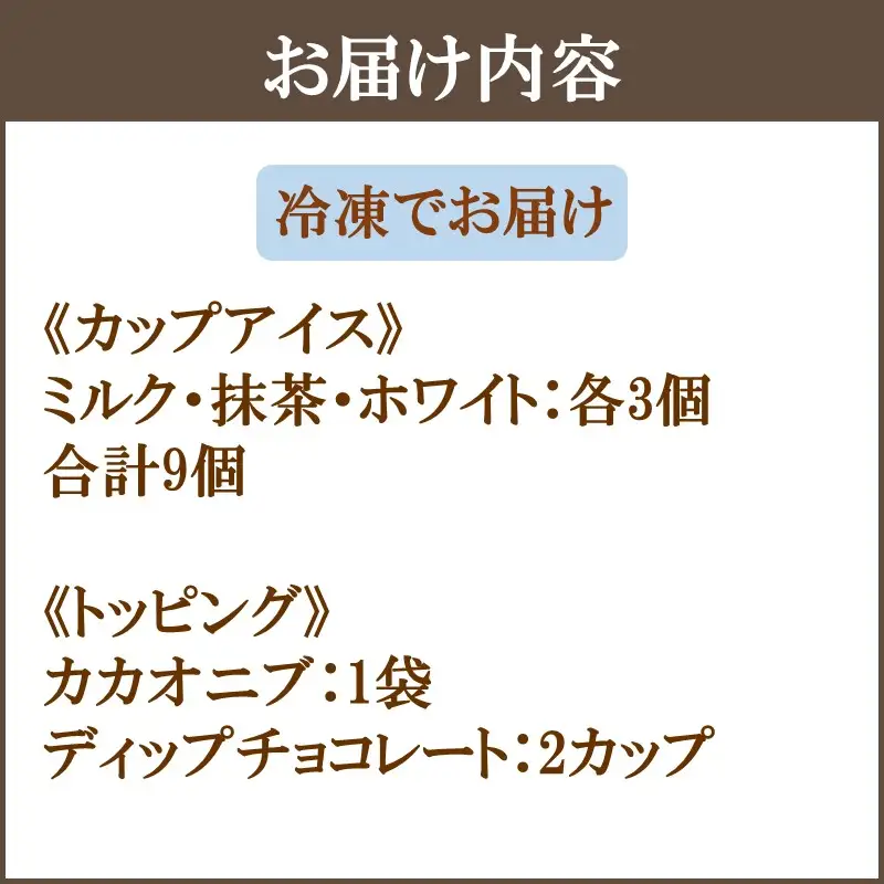 カカオ研究所 アイスチョコレートセット(9個入り)【C4-010】