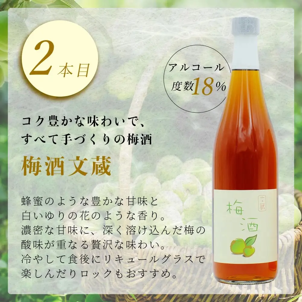 たらぎの 梅酒 セット 720ml × 2本 ≪古代 梅酒≫≪ 梅酒 文蔵≫ 球磨焼酎 多良木町 米 焼酎 梅 うめ酒 お酒 球磨 贈り物 ギフト 熊本県 多良木町 015-0689
