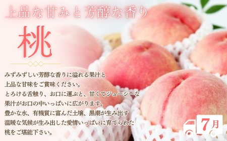 【2～3・7・9月 全3回】紀州和歌山産旬のフルーツセット（いちご・桃・巨峰）【UT96】【Z91153-tkb400】