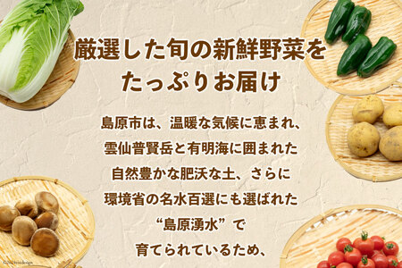 AI023【10～5月限定出荷】こむたの旬の野菜つめあわせ(13～15品目)おまかせ L セット 