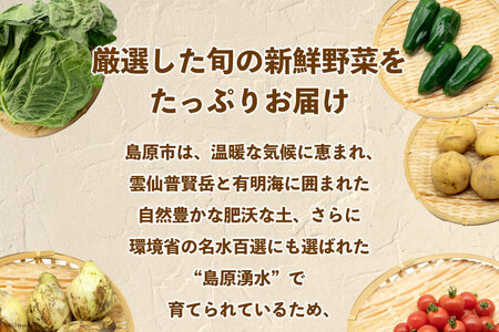 AI022【10～5月限定出荷】こむたの旬の野菜つめあわせ(8～10品目)おまかせ M セット 