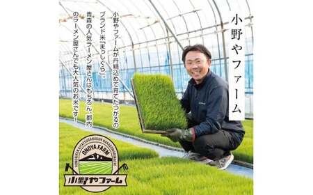 令和7年産 小野やファームのお米 「まっしぐら」 10kg （5kg×2袋） 【小野や】 F6N-224
