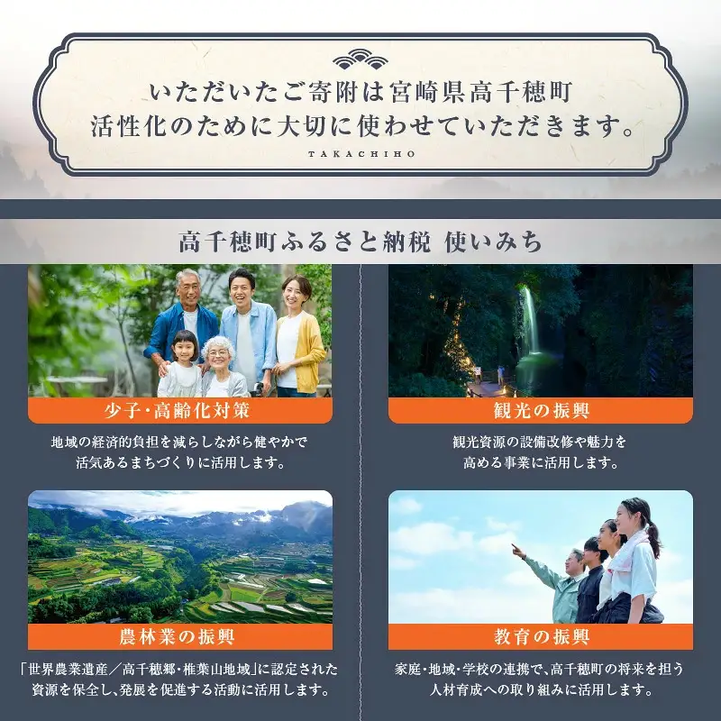 神話の里 高千穂町への応援寄附金【10,000円】（返礼品なし） 宮崎県 高千穂町 神話の里 応援寄附金 活性化 宮崎県 高千穂町 _Tk001-014