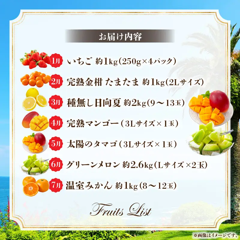 定期便 くだもの7ヶ月 定期便[2027年発送先行予約 数量・期間限定 特選]