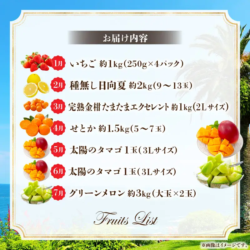 定期便 くだもの7ヶ月 定期便[2027年発送先行予約 数量・期間限定 南国]
