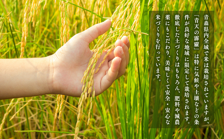 3カ月連続配送 青天の霹靂白米 5kg 青森県産[hi-0002-002]