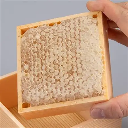 国産巣蜜(コムハニー)_はちみつ ハチミツ 蜂蜜 蜜 ハニー 巣蜜 巣みつ コムハニー 国産 国産蜂蜜 天然 濃厚 スイーツ デザート トースト ホットケーキ ヨーグルト フルーツ 調味料 産地直送 養蜂 贈答 ギフト プレゼント_【1325249】
