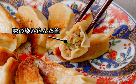 鳳春の冷凍生餃子60個セット 埼玉県 上尾市 餃子 