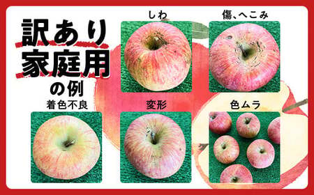 【令和8年産先行予約】 〈訳あり品 家庭用〉 りんご 「シナノスイート」 約3kg バラ詰め 《令和8年10月中旬～発送》 『カネタ高橋青果』 リンゴ 山形県 南陽市 [2182]