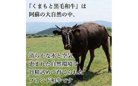 FKK19-938_【訳あり】【A4～A5】くまもと黒毛和牛しゃぶしゃぶすき焼き 750g 牛肉 和牛 食品 肉じゃが カレー 炒め物