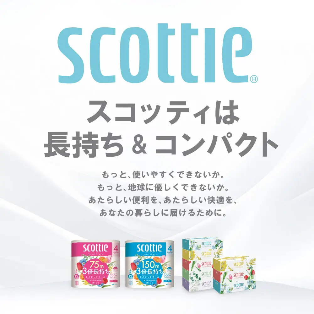 トイレットペーパー シングル 48ロール スコッティ トイレット