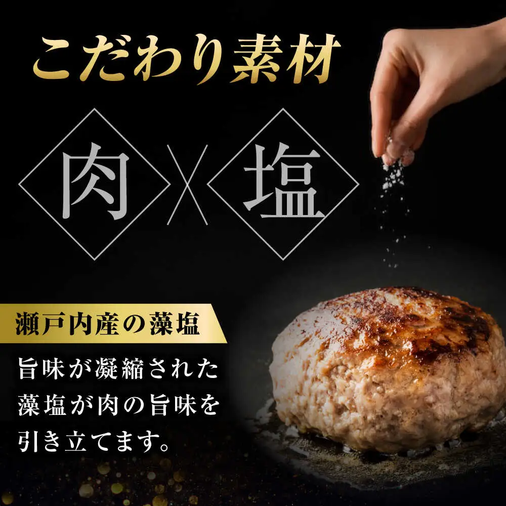 【スピード発送】和牛入り藻塩ハンバーグ(デミグラス) 5個セット [BAFK003]ハンバーグ