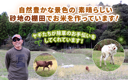 令和8年産 コシヒカリ 5kg【無洗米】 [m25-a007_02]