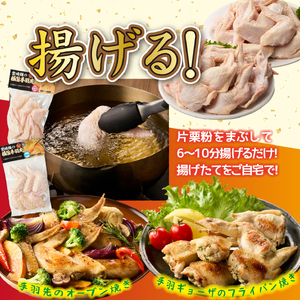 【手羽先サミット殿堂入り！】極旨塩 手羽先 唐揚げ 手羽ギョーザ セット 計24本（国産 鶏肉 手羽先 ギョウザ 餃子 塩 味付き 人気）