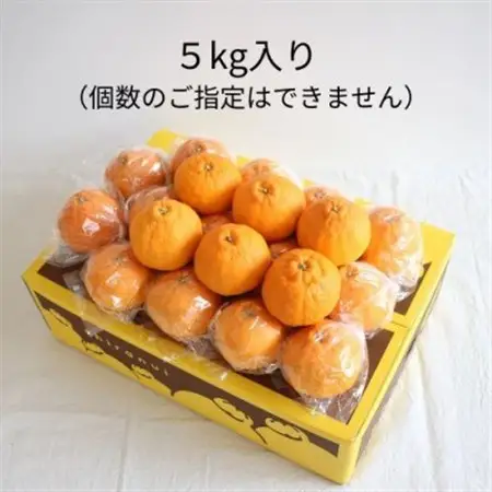 【2027年5月～6月発送】濃厚なコクと甘さ 長期熟成しらぬい 5kg 農家直送 和歌山県産【1545886】