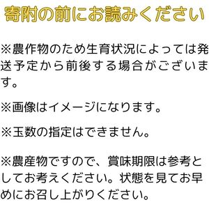 【南信州高森産】黄金のほほえみシナノゴールド5kg 秀＜10月下旬発送＞