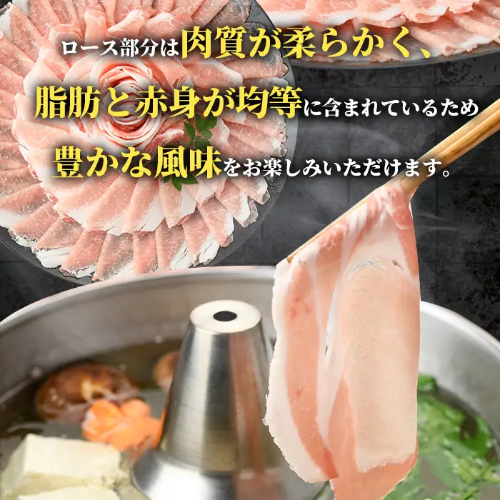 鹿児島県産 黒豚 しゃぶしゃぶ用 ローススライス 計1kg 500g×2パック 【スターゼン】 i997