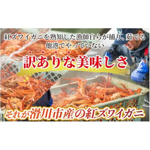 【先行予約】甲羅盛り２杯 カニ酢、カニ飯用の出汁付 高志の紅ガニ 【2026年11月中旬より順次発送】/ ブランド蟹かに酢 だし汁 付き 甲羅盛り ずわい ズワイ蟹 ずわいがに ずわい蟹 滑川市 海老源 炊き込み 炊き込みご飯 炊き込みご飯の素 かに雑炊 茶碗蒸し 紅ズワイガニ カニ ズワイガニ 紅ずわいがに かに 甲羅盛り 甲羅もり 甲羅 出汁付 カニ飯 甲羅盛 甲羅盛りかに酢付き こうらもり
