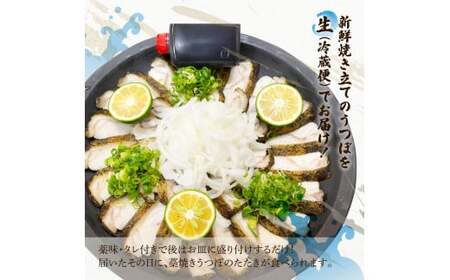 土佐の魚とお酒のおきゃくセット B（ウツボタタキコース）藁焼きウツボタタキ（タレ・薬味付）約200g 2-3人前 わら焼き うつぼ 珍味 純米吟醸生原酒 CEL-24 高知県 土佐市【さかなの森澤マル祐】[BQAM017]